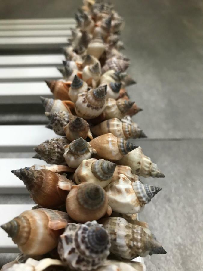 Baltic Melody Apartament Pobierowo Eksteriør billede